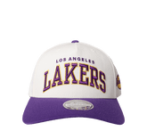 Mitchell & Ness Flex 110 Adjustable "Team Arch"
