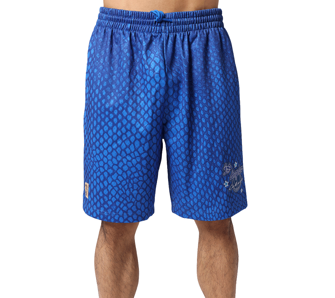 Mitchell & Ness All Attack Mesh Short