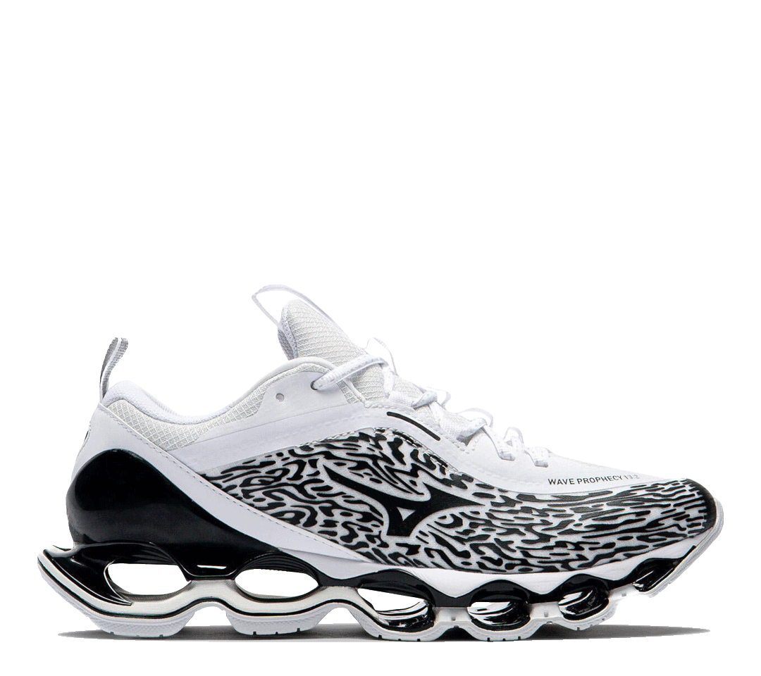 Mizuno Wave Prophecy 13.2