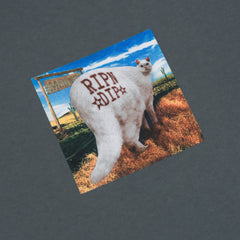 RIPNDIP "Rowdy Howdy" T-Shirt